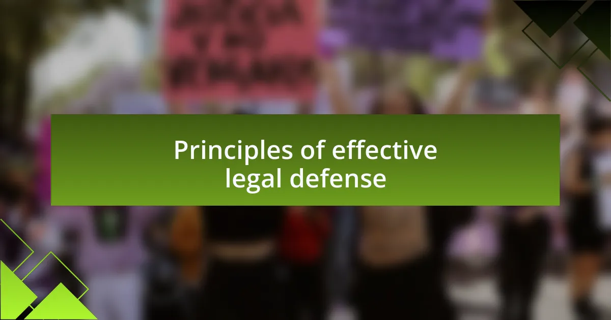 Principles of effective legal defense