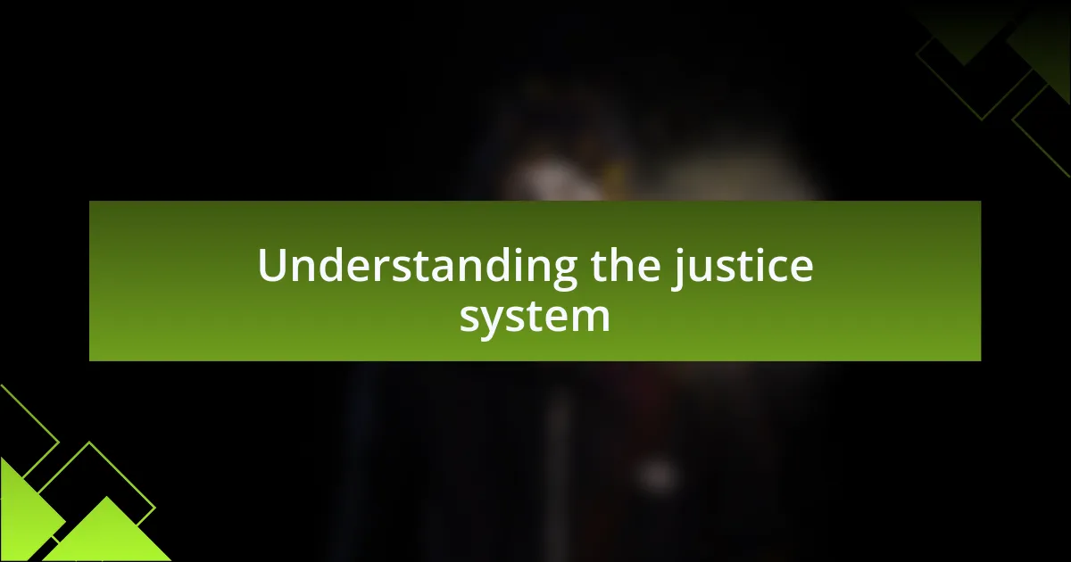Understanding the justice system